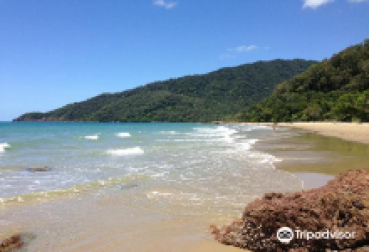 Cow Bay Beach景点图片