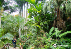 Flora Tropica Gardens-瓦努阿岛