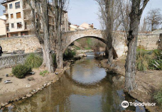 Puente Medieval-杜罗河畔佩尼阿兰达