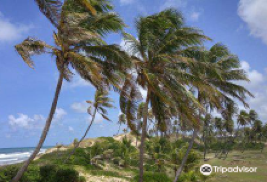 Massarandupió Beach景点图片