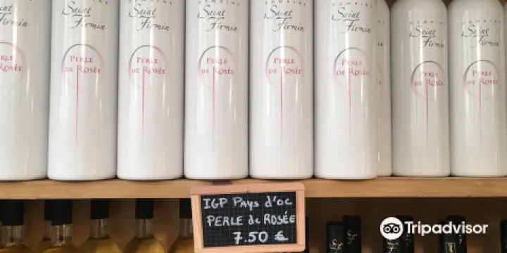 Domaine de Saint Firmin