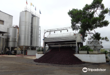 Cantina Albea winery and museum景点图片