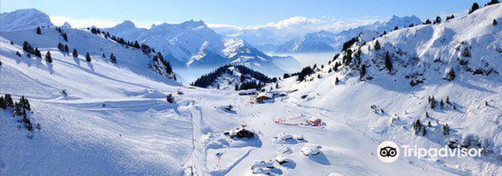 威拉尔-苏-罗伦图片