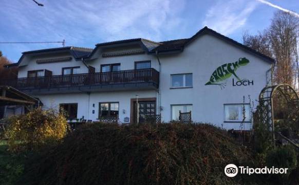 佛洛斯克洛奇膳食公寓(Pension Froschloch)图片