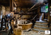 Museo del Aceite Molino del Medio景点图片