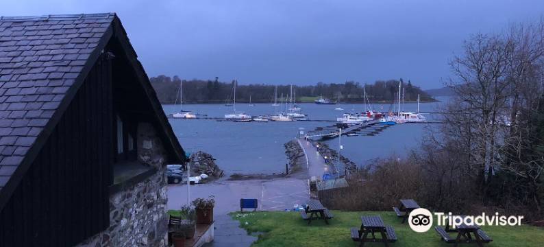 野生大口青蛙酒店 & 餐厅(Wide Mouthed Frog)图片