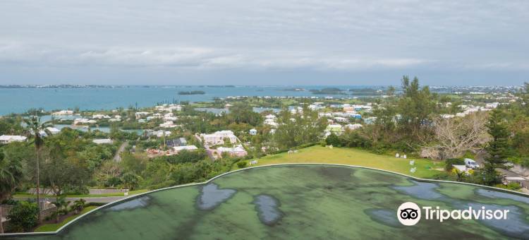 The Fairmont Southampton图片