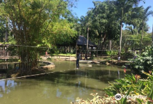 Fun Farm at Sta. Elena景点图片