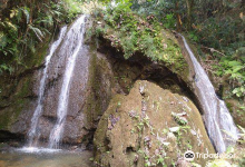 Tat Mok Waterfall景点图片
