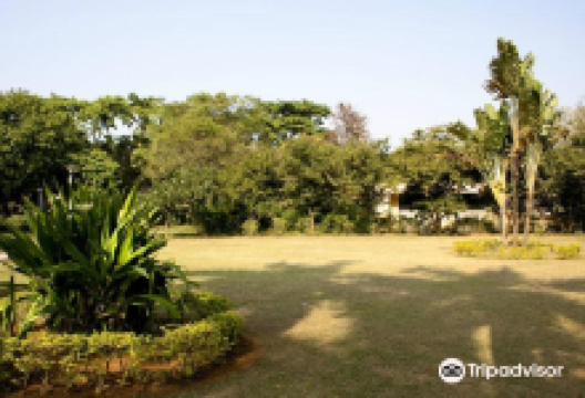 Nandan Van Nature Center景点图片