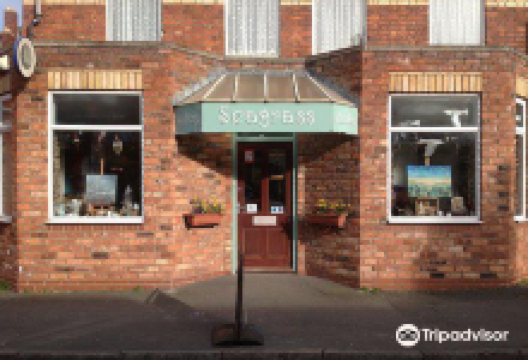 Seagrass Studio Gallery景点图片