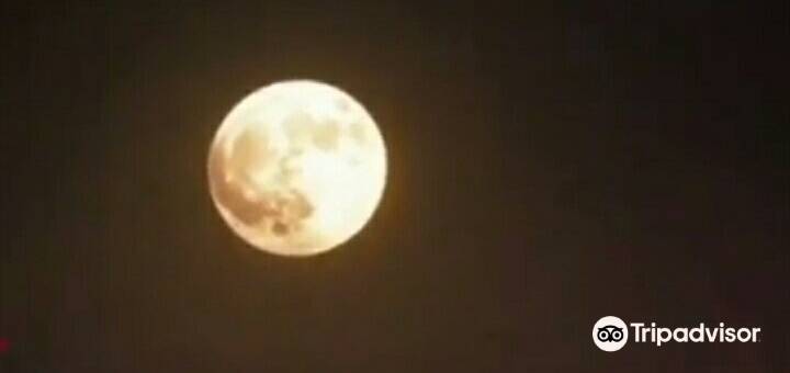 城堡酒店(Hotel le Castle)图片