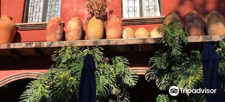 月光之家精品酒店(Casa Luna Hotel Boutique)图片