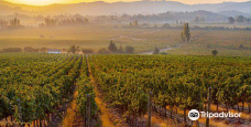 Balduzzi Vineyards & Winery-圣哈维尔
