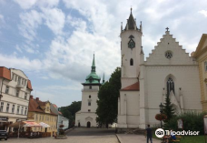 Regionalni Muzeum V Teplicich-特普利采