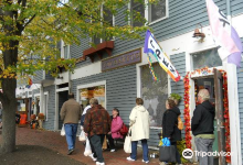 Enchanted购物图片