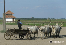 Puszta Animal Park景点图片