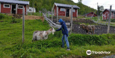 Tromso Mini Zoo-特罗姆瑟
