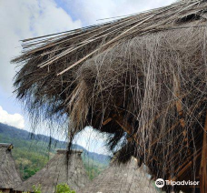 Wologai Traditional Village-英德