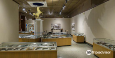 Museum Of Connecticut History-哈特福