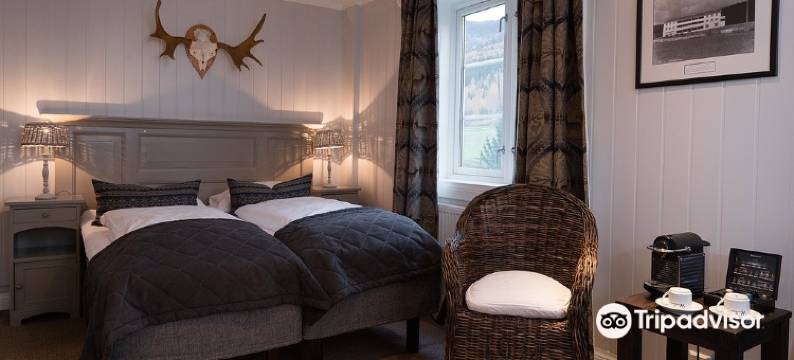 历史酒店(Nermo Hotel & Apartments)图片