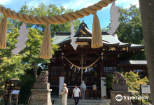 行田八幡神社景点图片