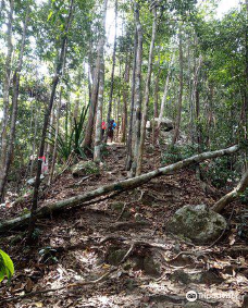 Gunung Arong Recreational Forest-Tenglu