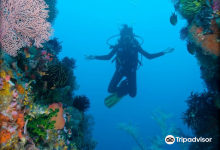 Komodo Dive Center购物图片