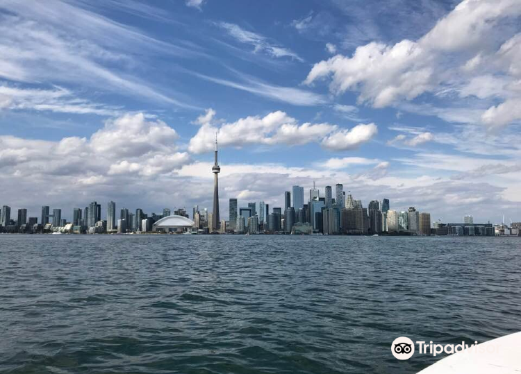 Downtown Toronto (Dynamic urban experience, cultural attractions)