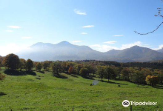 笹ヶ峰牧場景点图片
