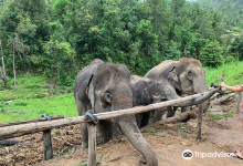 Karen Elephant Habitat景点图片