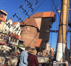 Crane. Branch of the National Martime Museum-格但斯克