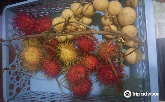 帕玛塔宾馆(Permata Guesthouse)图片