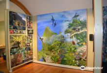 Lord Howe Island Museum景点图片