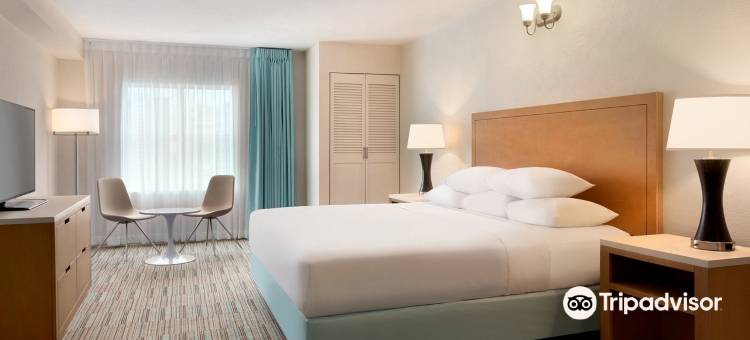 圣胡安希尔顿安泊酒店及(Embassy Suites by Hilton San Juan Hotel & Casino)图片