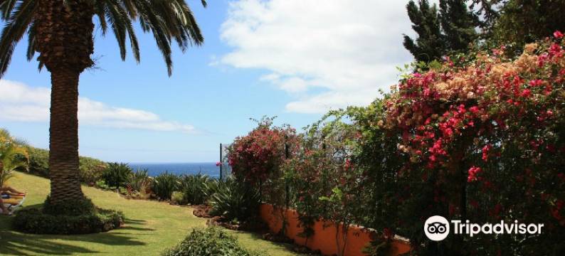 艾伯塔诺大西洋亚尤尔维达疗愈中心酒店 - 限成人入住(Hotel Alpino Atlantico Ayurveda Cure Centre - Adults Only)图片