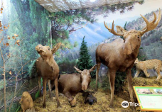 Minusinsk Local Lore Museum of N. Martyanov-米努辛斯克