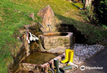 Attar Halil购物图片