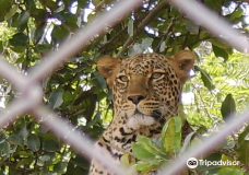 Nairobi Education Centre - Animal Orphanage-内罗毕