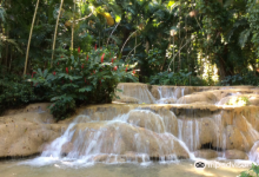 The Turtle River Falls & Gardens (formerly The Enchanted Gardens)景点图片