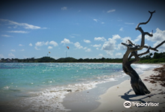 Jabberwock Beach景点图片