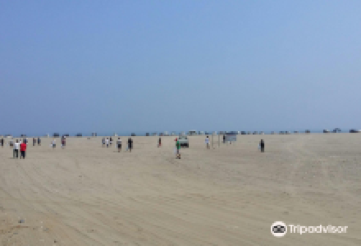 波崎海水浴场景点图片