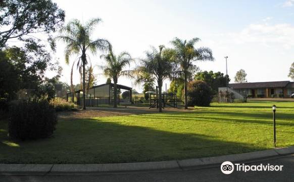 日舞公园汽车旅馆(Sundance Park Motel)图片