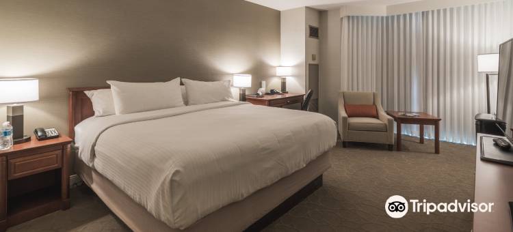 圣约翰德尔塔酒店及会议中心(Delta Hotels St. John's Conference Centre)图片