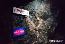 海洋玫瑰公园 野田玉川景点图片