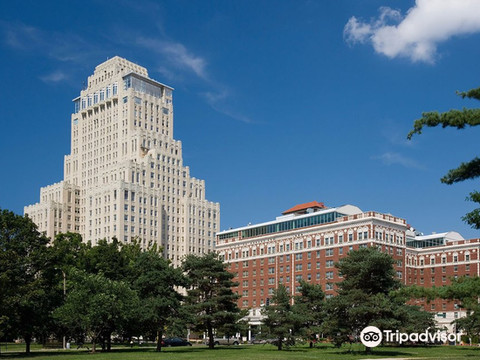 圣路易斯皇家索尼斯塔蔡斯公园广场酒店