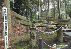 Ushine Fumoto Inari Shrine Buried Torii-垂水市