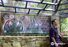 Tiger! Tiger! Gallery & Exhibit-兰卡威