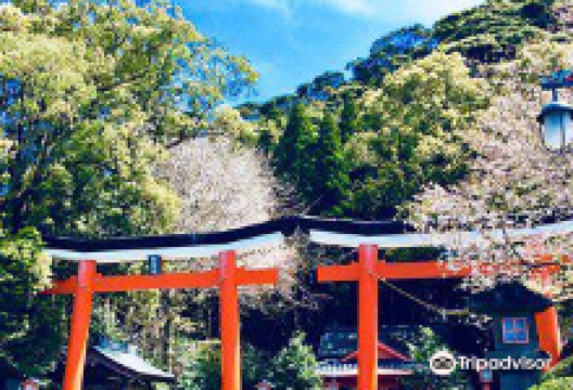 Suwa Shrine景点图片