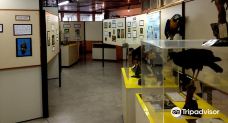 Museum of Natural Science, University of Parana-库里提巴